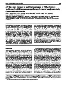 pyrene in murine - Europe PMC