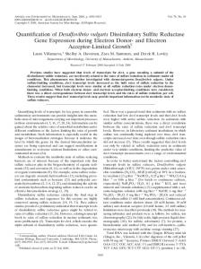 Quantification of Desulfovibrio vulgaris Dissimilatory Sulfite Reductase ...