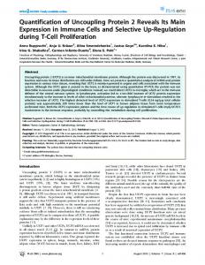 Quantification of Uncoupling Protein 2 Reveals Its Main Expression in ...