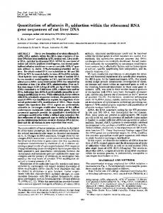 Quantitation of aflatoxin B1 adduction within the ... - Semantic Scholar