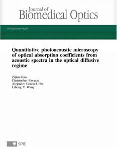 Quantitative photoacoustic microscopy of optical ... - Semantic Scholar