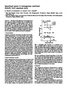 Quantized states in homogenous polarized GaInN GaN quantum wells