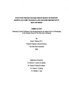 Radunz Dissertation - OhioLINK ETD