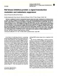 Raf kinase inhibitory protein - Nature