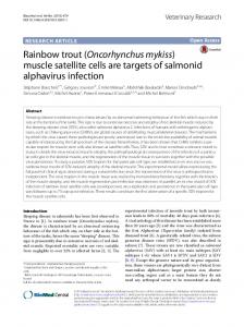Rainbow trout (Oncorhynchus mykiss) - BioMed Central