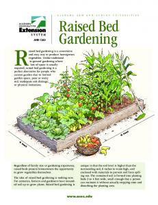 Raised Bed Gardening