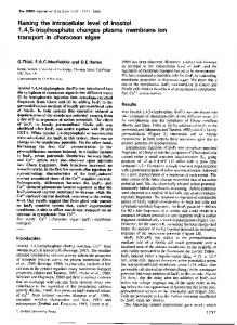 Raising the intracellular level of inositol 1, 4, 5-trisphosphate changes ...