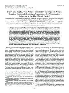 Ralstonia solanacearum - Journal of Bacteriology - American Society ...