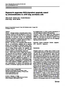 Rapamycin suppresses ROS-dependent apoptosis ... - Springer Link