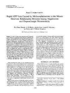 Rapid ATP Loss Caused by Methamphetamine ... - Wiley Online Library