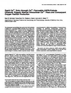 Rapid Ca2+ Entry through Ca2+ -Permeable