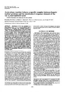 rat a2-macroglobulin gene - Europe PMC