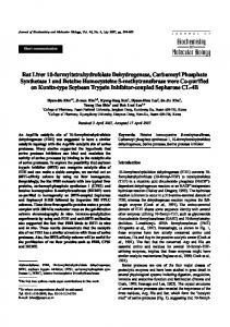 Rat Liver 10-formyltetrahydrofolate