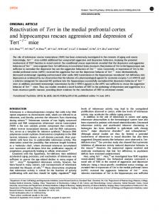 Reactivation of Tert in the medial prefrontal cortex ... - Semantic Scholar