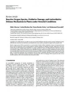 Reactive Oxygen Species, Oxidative Damage, and Antioxidative ...