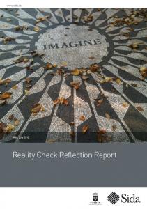 Reality Check Reflection Report - Reality Check Approach