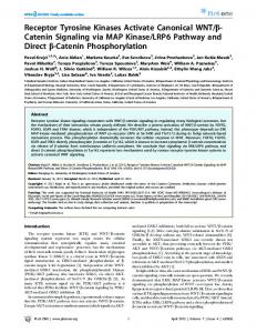 Receptor Tyrosine Kinases Activate Canonical