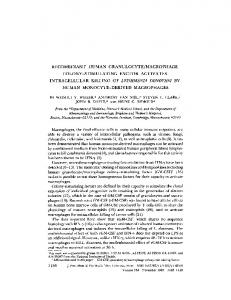 recombinant human granulocyte/macrophage colony-stimulating ...