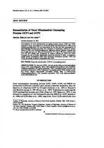 Reconstitution of Novel Mitochondrial ... - Bioscience Reports