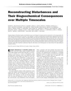 Reconstructing Disturbances and Their