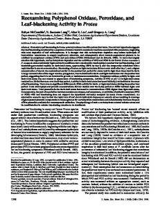 Reexamining Polyphenol Oxidase, Peroxidase, and Leaf-blackening ...