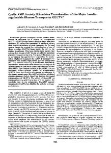 regulatable Glucose Transporter GLUT4 - The Journal of Biological ...