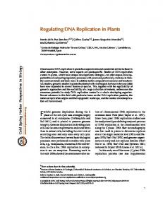 Regulating DNA Replication in Plants