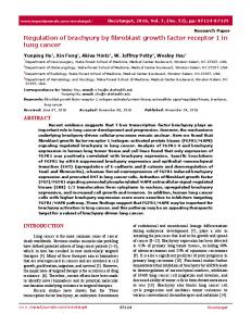 Regulation of brachyury by fibroblast growth factor