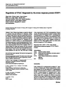 Regulation of ENaC biogenesis by the stress response ... - Springer Link