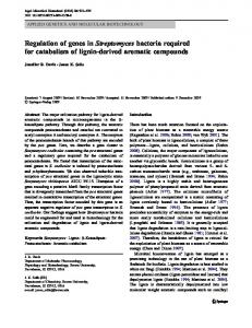 Regulation of genes in Streptomyces bacteria ...