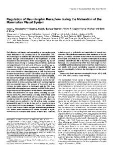 Regulation of Neurotrophin Mammalian Visual ... - Semantic Scholar