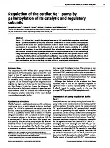 Regulation of the cardiac Na pump by