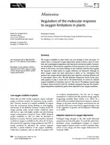 Regulation of the molecular response to oxygen ... - Wiley Online Library