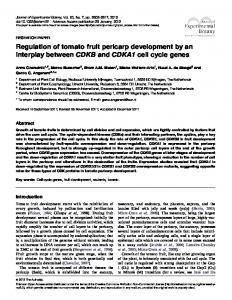 Regulation of tomato fruit pericarp development by an interplay ...