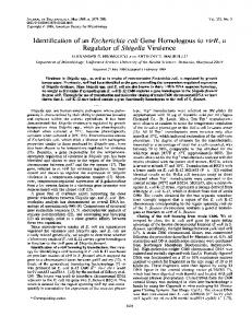 Regulator of Shigella Virulence - NCBI