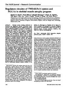 Regulatory circuitry of TWEAK-Fn14 system and ... - The FASEB Journal