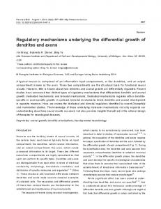 Regulatory mechanisms underlying the differential growth of dendrites ...