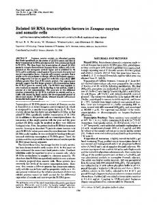 Related 5S RNA transcription factors in Xenopus ... - Europe PMC