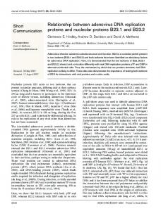 Relationship between adenovirus DNA replication proteins and ...