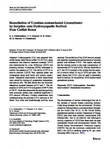 Remediation of Uranium-contaminated Groundwater ... - Springer Link