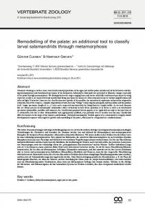 Remodelling of the palate - Senckenberg