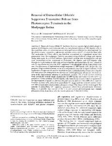 Removal of Extracellular Chloride Suppresses ... - BioMedSearch