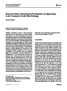 Removal of Heavy Metal Ions by Ferrihydrite: an