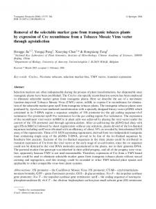 Removal of the selectable marker gene from ... - Springer Link