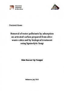 Removal of water pollutants by adsorption on