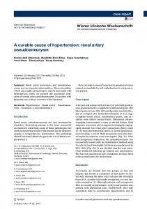 renal artery pseudoaneurysm