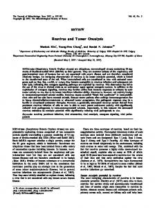 Reovirus and Tumor Oncolysis