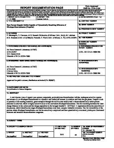 report documentation page