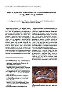 Reptilia, Squamata, Amphisbaenidae ... - Herpetology Notes