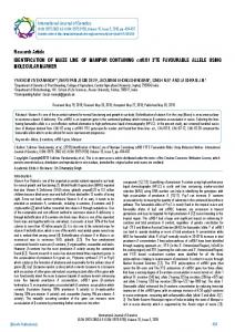 Research Article IDENTIFICATION OF MAIZE ... - BioInfo Publication